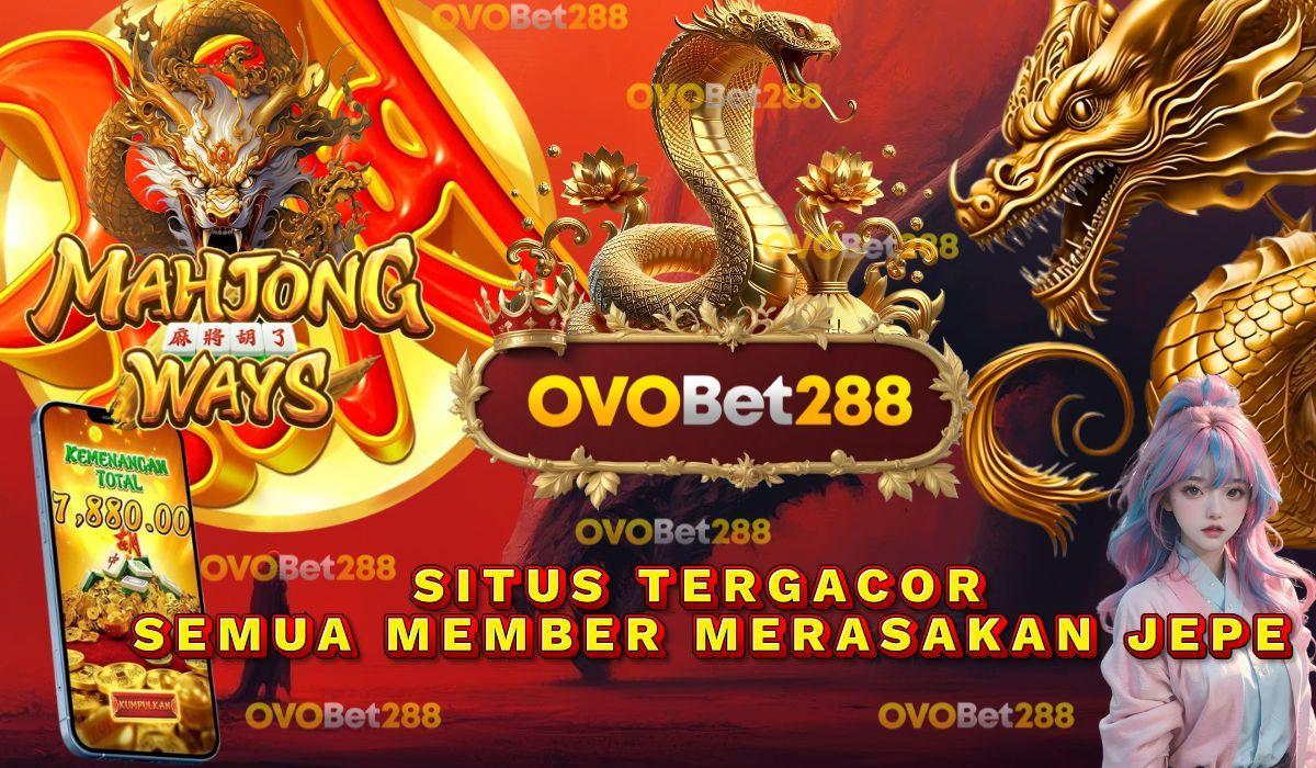 Tips Login Jackpot Aman untuk Kemenangan Besar