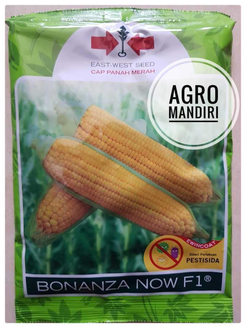 Pencarian Bonanza Bagus: Temukan Produk Terbaik di Sini!
